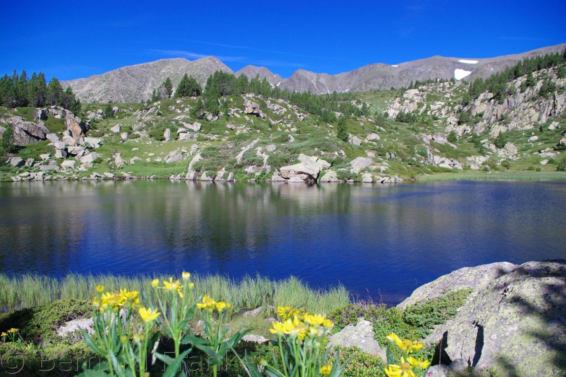 Studio Ecureuil 2 Pers Au Coeur De La Montagne La Llagonne エクステリア 写真